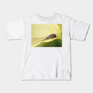 Tiny weevil beetle identified as Sciopithes obscurus - Obscure Root Weevil Kids T-Shirt